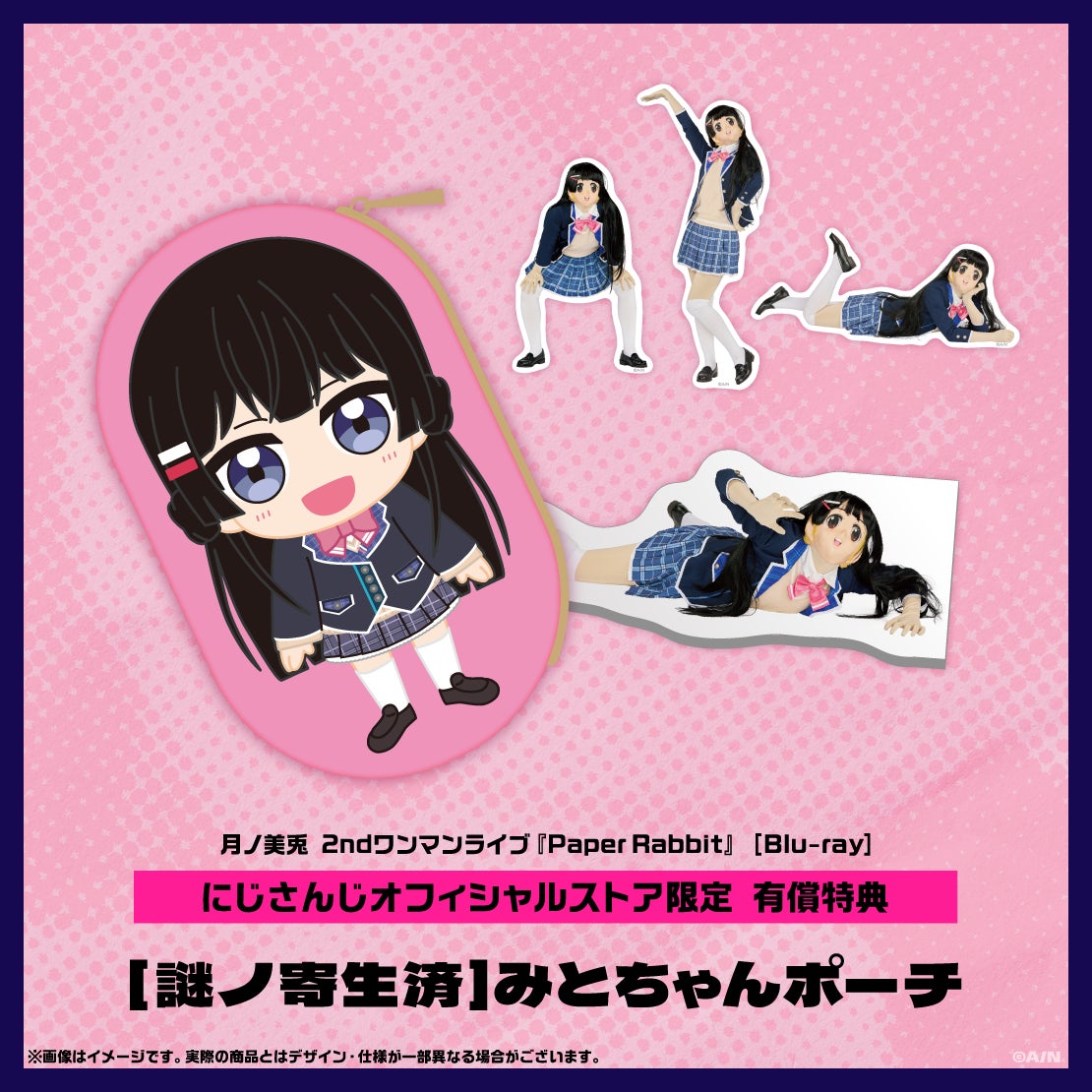 有償特典のみとちゃんポーチ。通常本体には自動付属しません